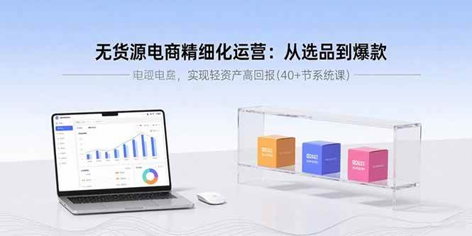 (9.4)无货源电商精细化运营：从选品到爆款，实现轻资产高回报(40+节系统课)