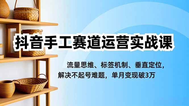 (11.26)抖音手工赛道运营实战课，流量思维、标签机制、垂直定位，解决不起号难题，单月变现破3万